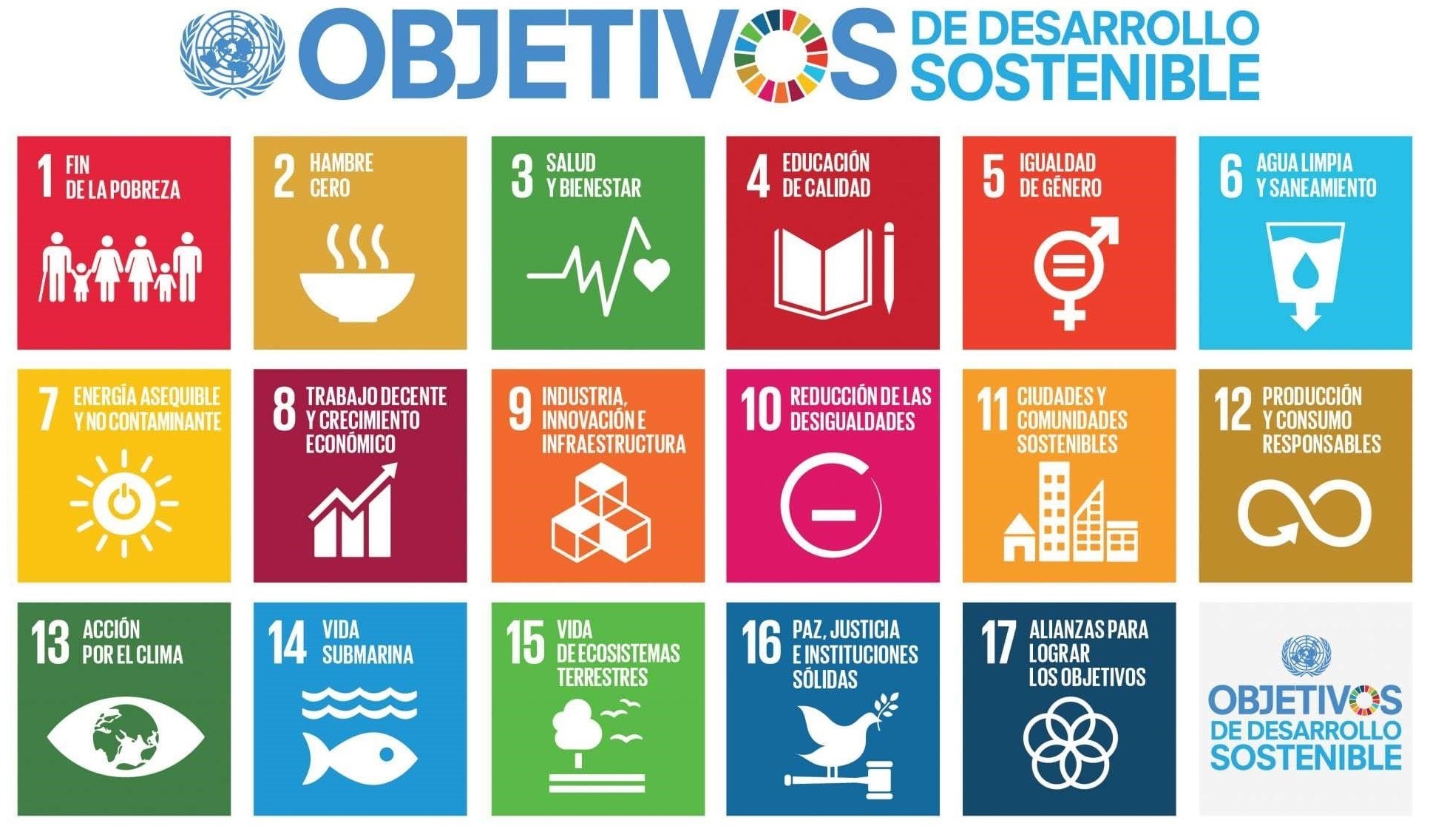 Unicef3