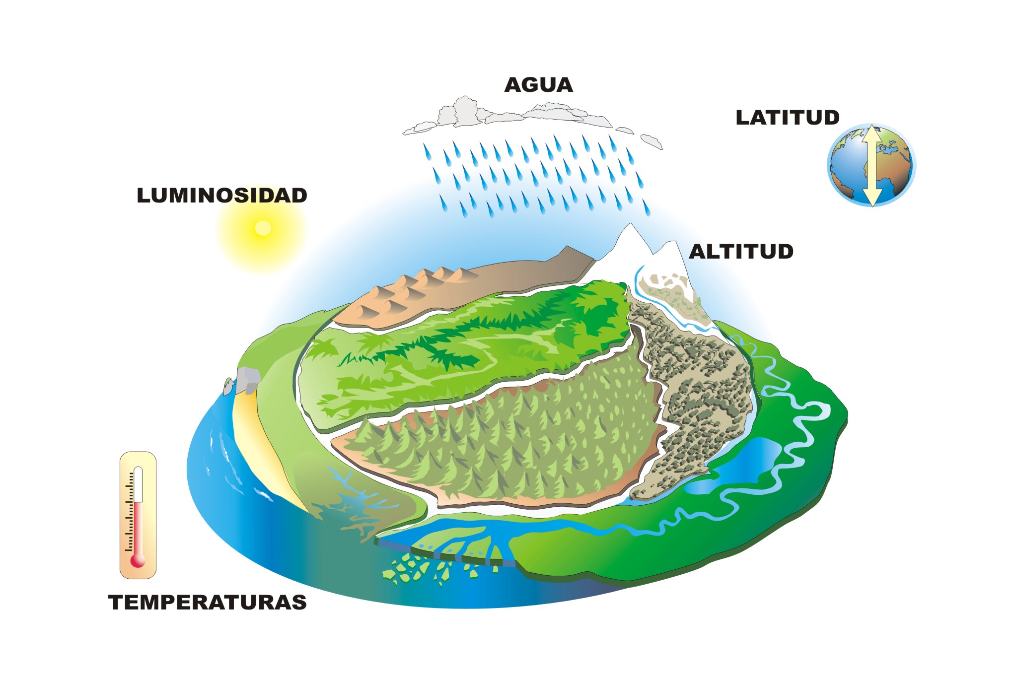 Esquema ilustrado de los factores abióticos que definen un biotopo
