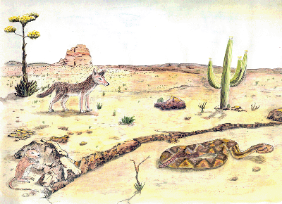Ilustración del desierto